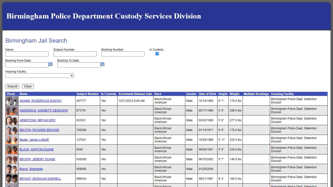 Birmingham Jail Search